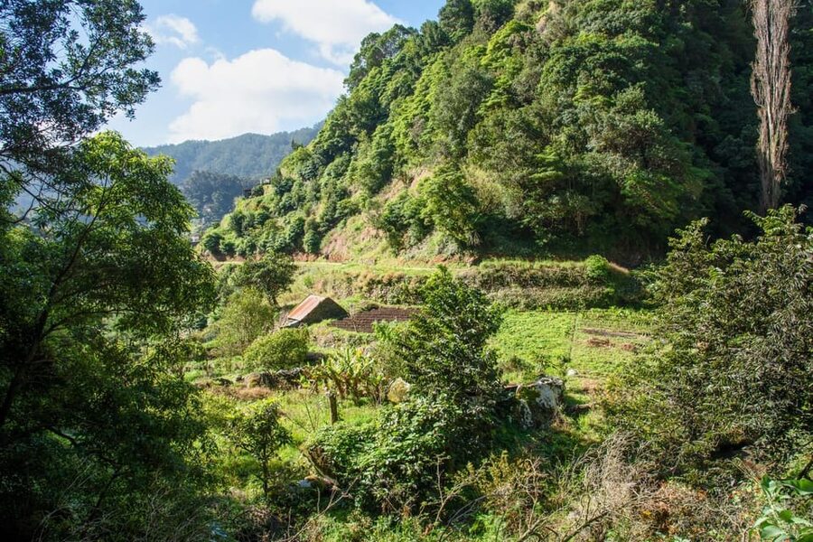 Maroços Madeira Island Levada Walk - Why the Levada dos Maroços is a good first walk