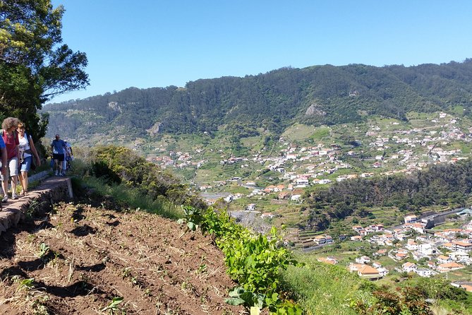 Maroços - Mimosa Valley - Key points at a glance