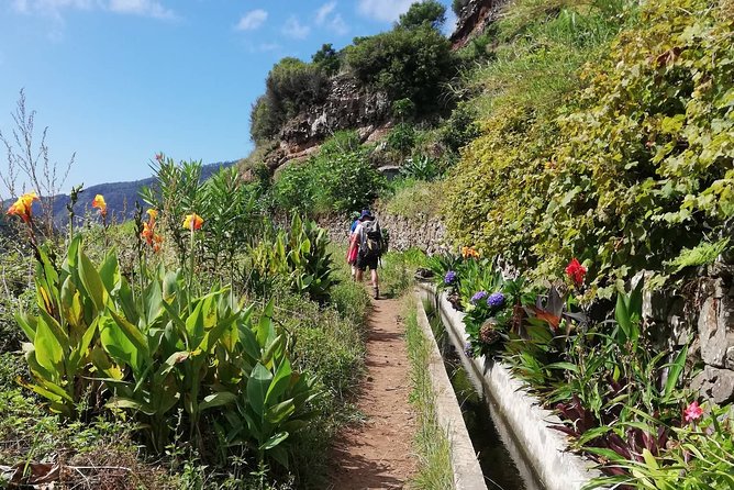 Maroços - Mimosa Valley - A soft start to Madeira’s levada country