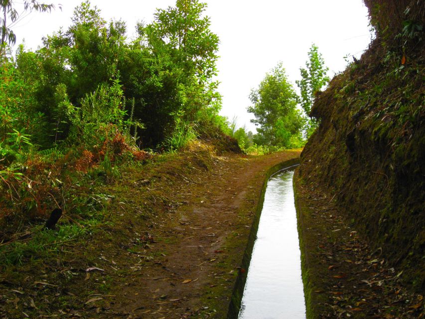 Maroços / Mimosa Valley - Levada Walk - A gentler side of Madeira in Machico