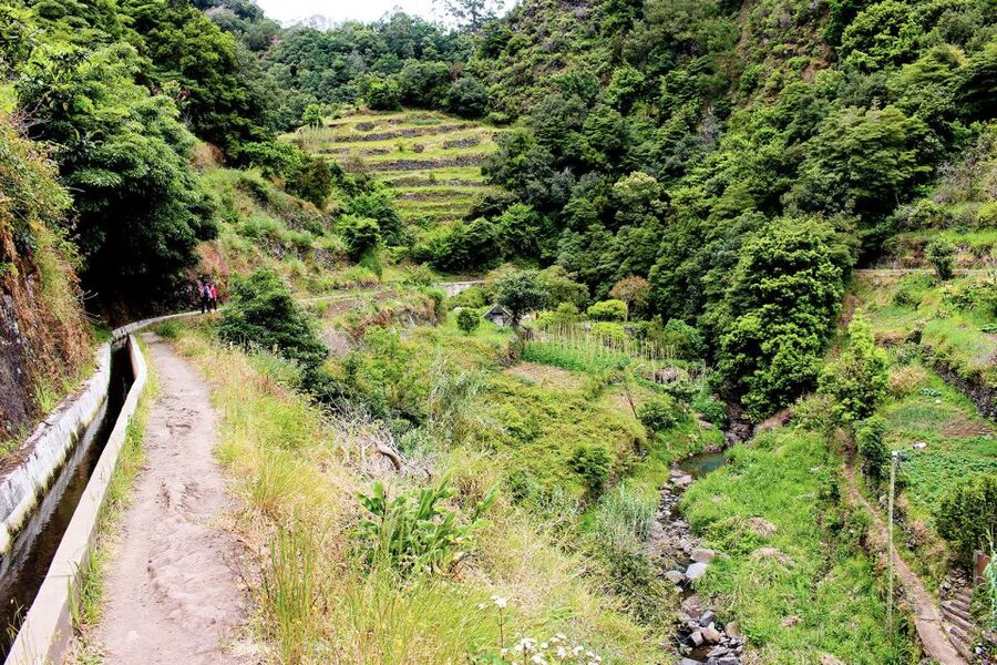 Maroços / Mimosa Valley - Levada Walk - Guides who explain more than the view
