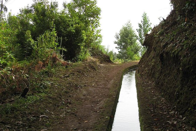Maroços Mimosa Valley Levada Walk from Funchal - Key points to know before you book