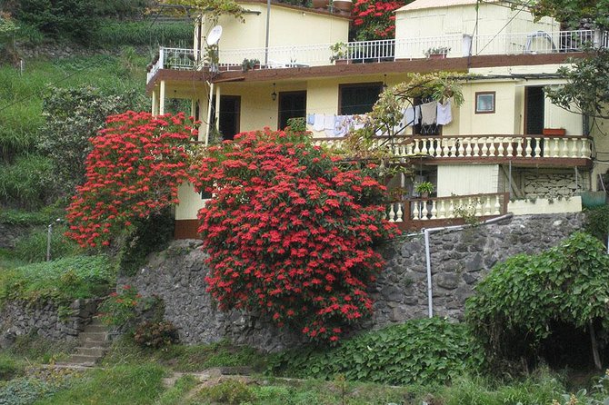 Maroços Mimosa Valley Levada Walk from Funchal - Why this levada walk feels different