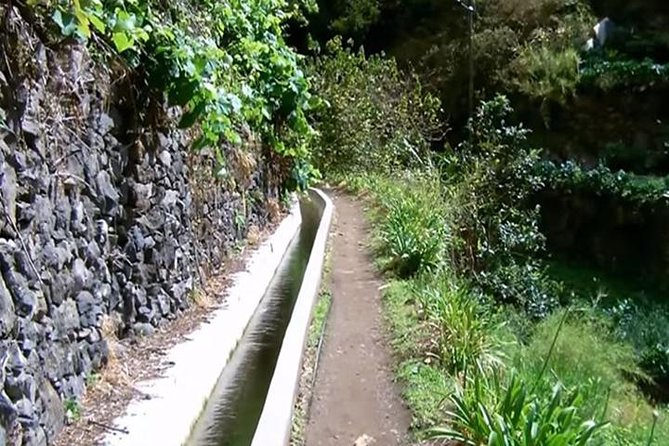 Mimosa Valley Walk - Key points to know before you book