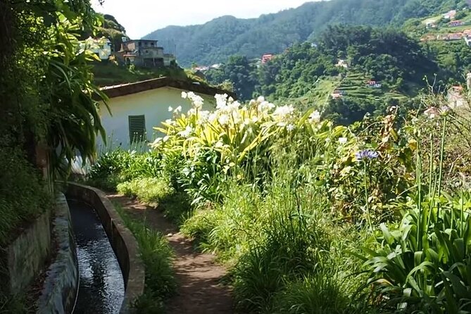 Mimosa Valley Walk - Following the levada through Mimosa Valley