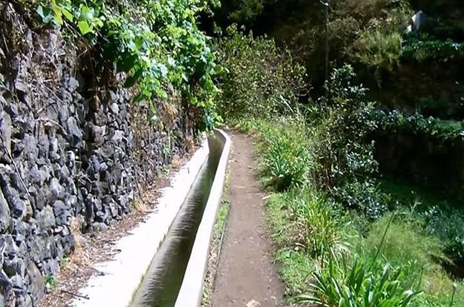 Mimosa Valley Walk - Group size, guide style, and pace