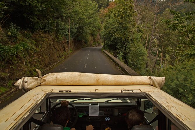 Mini -Combo East Challenge (Jeep & Levada Walk)- Shared Tour - Camacha and the waterway through the forest