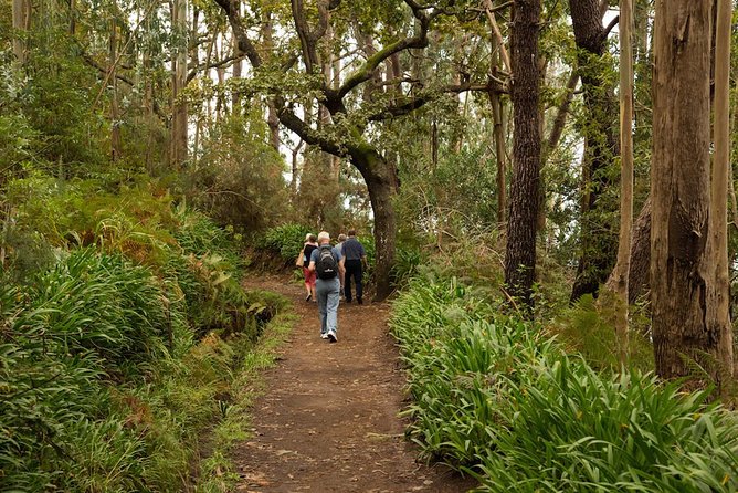 Mini -Combo East Challenge (Jeep & Levada Walk)- Shared Tour - The rough road toward Santo da Serra