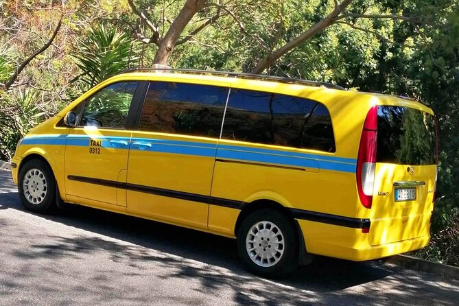 Minibus Transfer: Madeira Airport - Funchal - The private group arrangement and its value