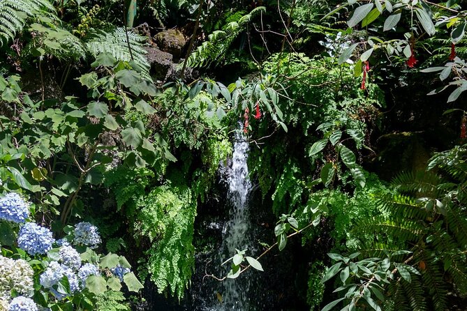 Monte Palace Tropical Garden tour with Cable Car - What the guided visit adds