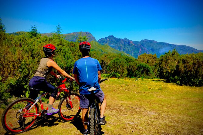 Mountain Biking Tour - Beginner Easy - A gentle route with real mountain-bike skills