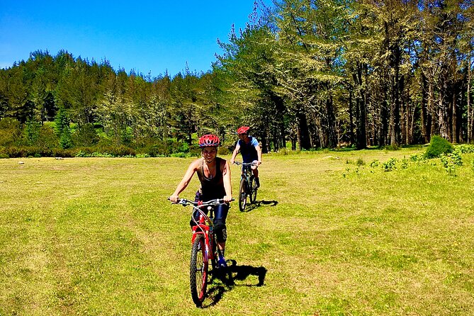 Mountain Biking Tour - Beginner Easy - Following levada trails toward Camacha