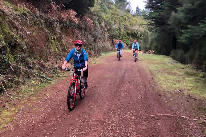 Mountain Biking Tour - Beginner Easy - What Ros adds to the ride