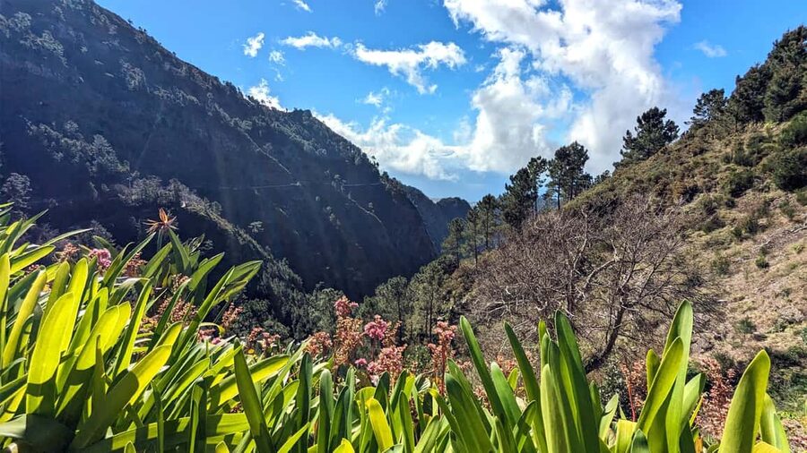 Mountain Wonders: Nuns Valley Half-day Private Jeep - What the four-hour schedule really gives you