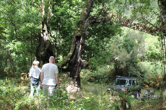North Tour & Wine Tasting - 4x4 (Small Groups) - Arco de São Jorge and the day’s lunch break