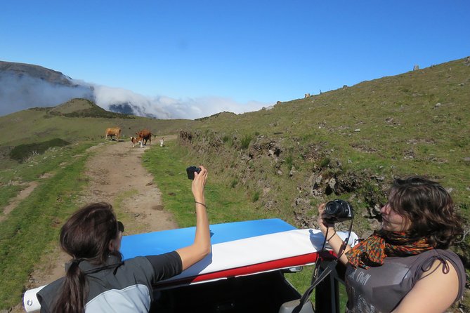 Northeast 4x4 Santana and Landscapes Day Trip - Faial’s old guns and the view from Fortim do Faial