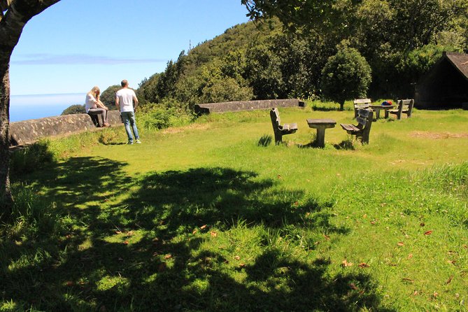 Northeast Santana Traditional Houses 4x4 Safari Full-Day Tour - Lunch, local crops, and the guide’s role