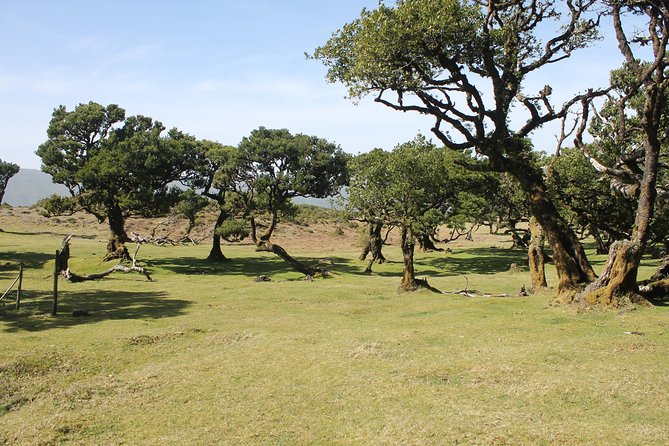 NorthWest Landscapes, UNESCO & volcanic pools 4x4 experience - Seixal Beach and São Vicente Valley