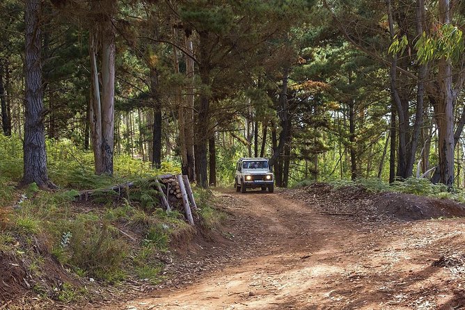 Nun's Valley & Sea Cliff - Half Day - Shared Tour - Price, pickup, and the value of half a day