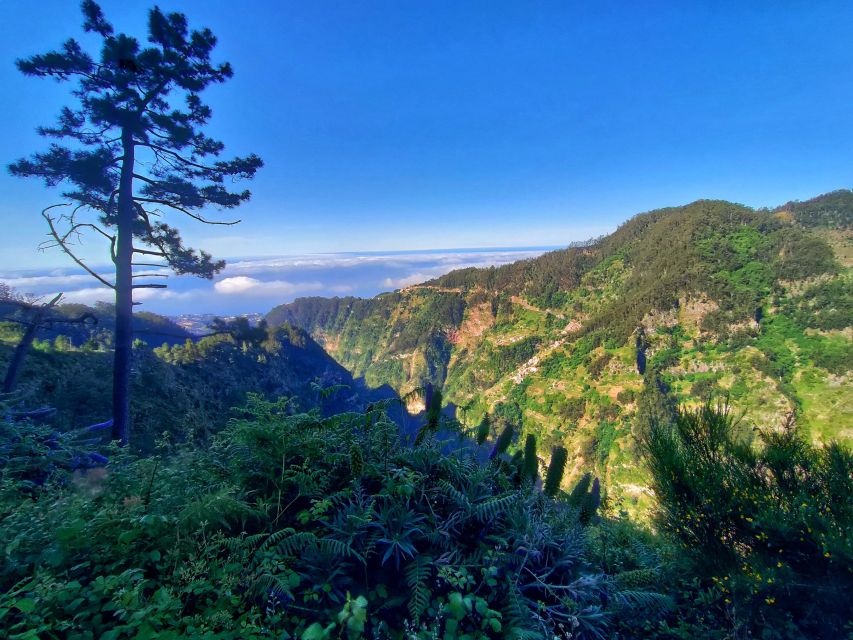 Nun's Valley - From Funchal to Pico dos Barcelos