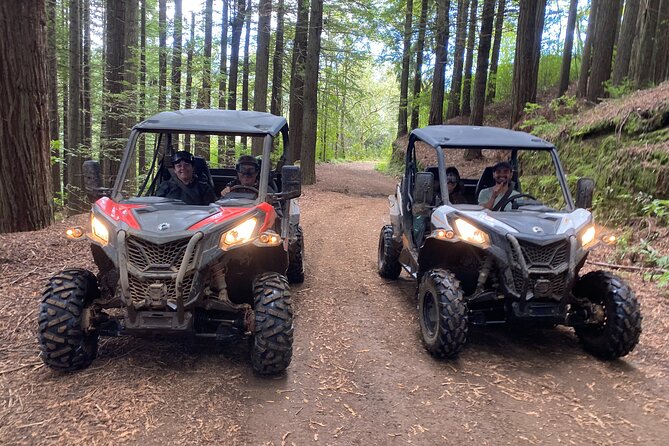 Off-Road Buggy Driving Experience - Why this Santana buggy ride is different