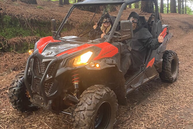 Off-Road Buggy Driving Experience - What the Laurisilva Forest section offers