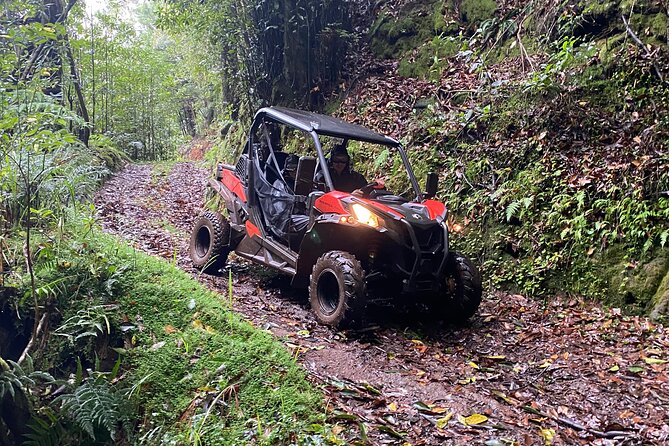Off-Road Buggy Driving Experience - Is $90.11 per person good value?