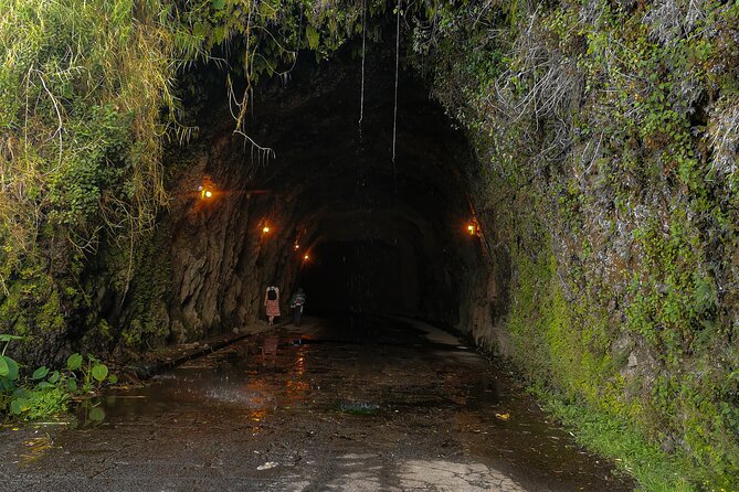 Oldtimer Sightseeing Tour in the West and Northwest - Ponta do Sol, Calheta, and Madeira’s old roads