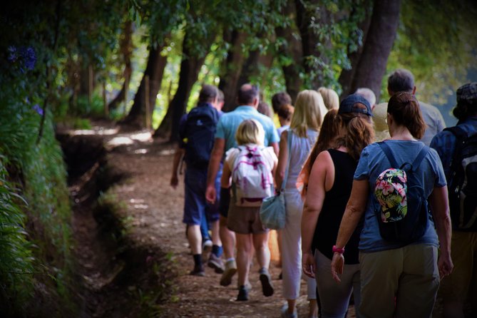 Paradise Valley Beauty Walk - Why the gentle pace matters