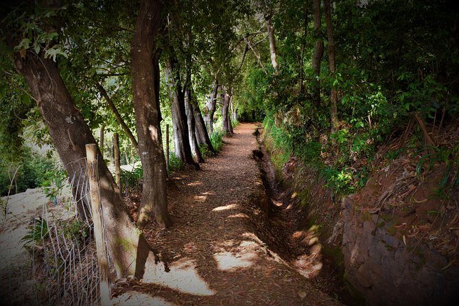 Paradise Valley Beauty Walk - Who should choose this walk?