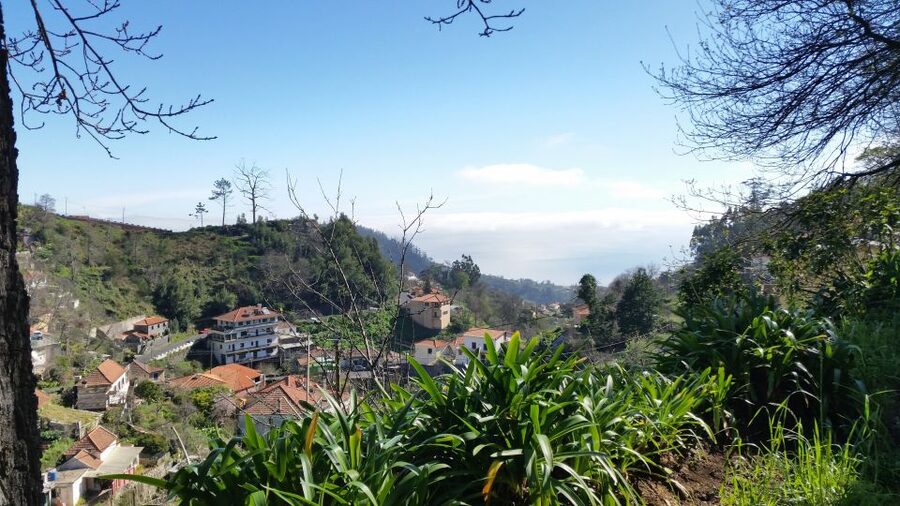 Paradise Valley half-day morning walk. - A Soft Start Beside Madeira’s Levada Channels
