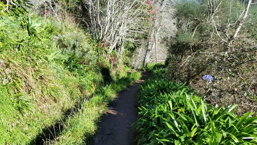 Paradise Valley half-day morning walk. - Who Will Enjoy Paradise Valley Most?