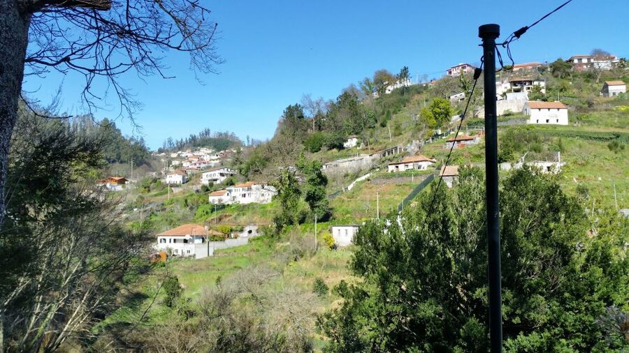 Paradise Valley half-day morning walk. - What the Terraces Tell You About Madeira