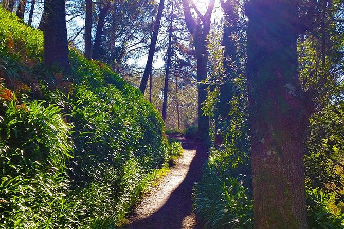Paradise Valley - Levada Walk - The café stop and arrival at Camacha