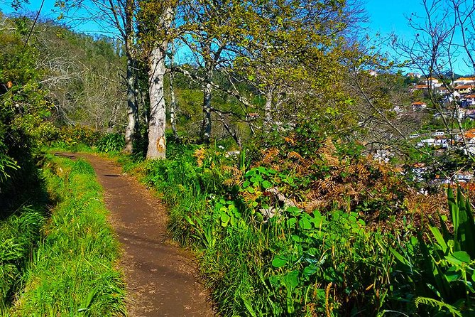 Paradise Valley - Levada Walk - How difficult is the route?