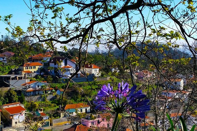 Paradise Valley - Levada Walk - What to bring for a comfortable morning