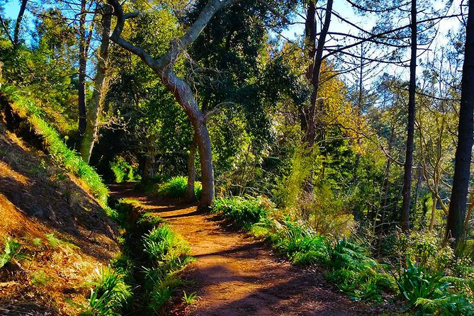 Paradise Valley - Levada Walk - Who should book this walk?