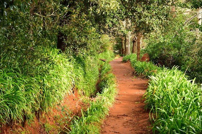 Paradise Valley Madeira Island Walk - A quiet start in Madeira’s farming country