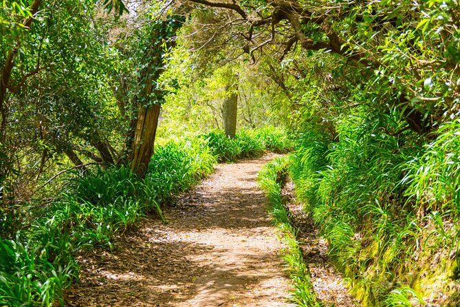 Paradise Valley Madeira Island Walk - What you see between the valley and Rochão