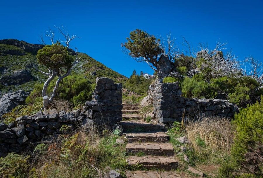 Pico Areeiro to Pico Ruivo Madeira Island Walk - The café stop and return to Funchal