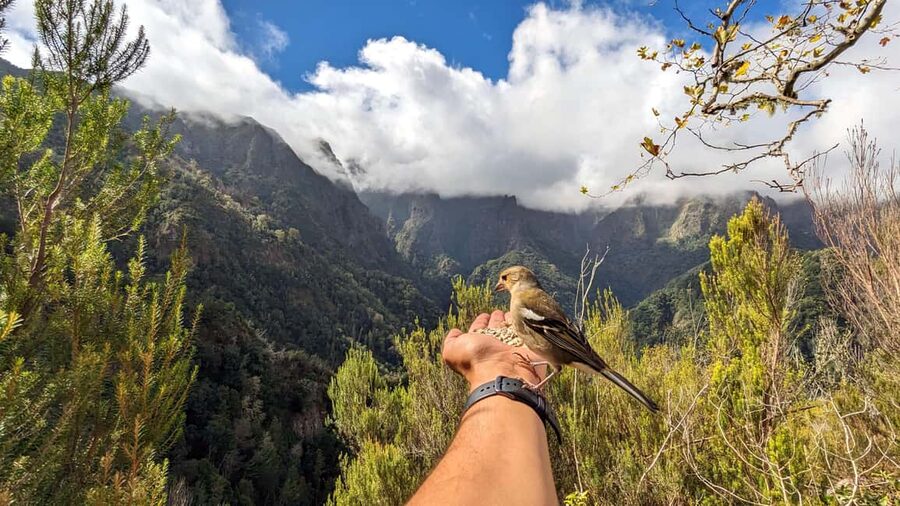 Pico do Arieiro in 4h: Immersive Private Experience (Cabrio) - Key points at a glance
