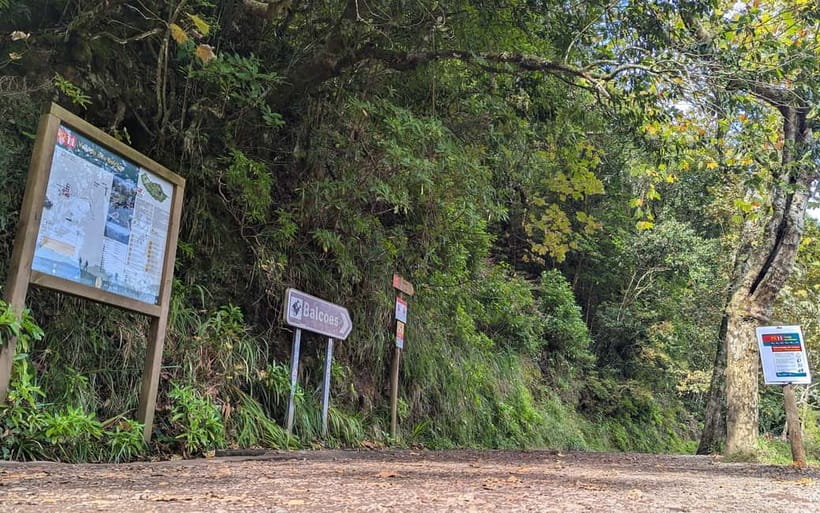 Pico do Arieiro in 4h: Immersive Private Experience (Cabrio) - Camacha and Madeira’s local side