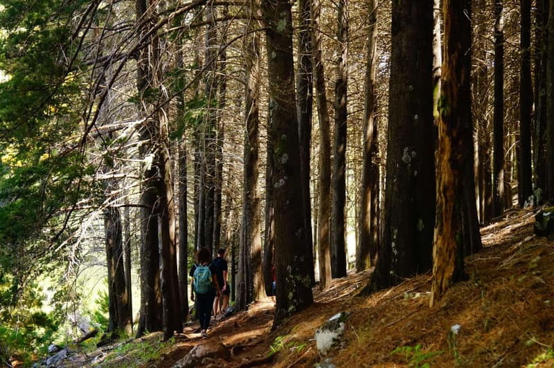 Pico do Arieiro - Stairway to Heaven Hike - Sunrise Option - Key points to know before booking