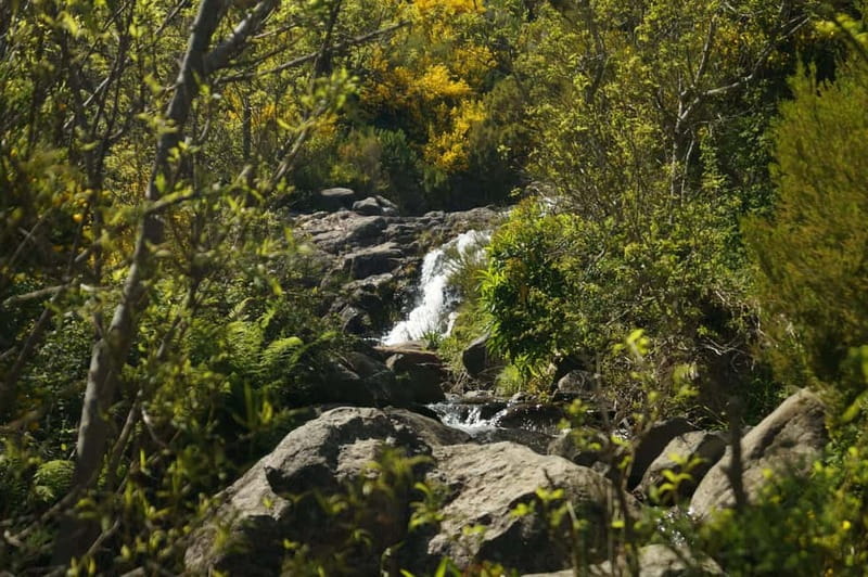 Pico do Arieiro - Stairway to Heaven Hike - Sunrise Option - What the $28 price really covers