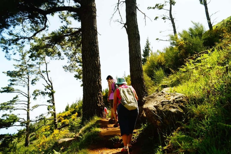 Pico do Arieiro - Stairway to Heaven Hike - Sunrise Option - Who should choose this mountain outing