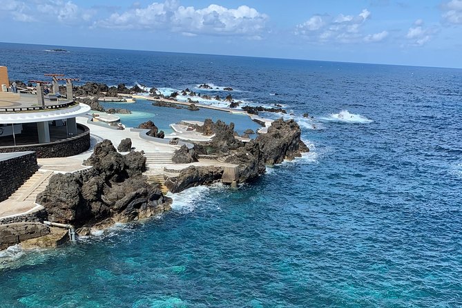 Porto Moniz Lava Pools, Fanal Forest and Skywalk 4x4 Experience - Fanal Forest among ancient laurel trees
