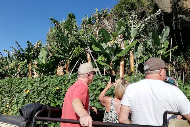 Porto Moniz - Private Full-Day - Safari 4x4 Tour - NorthWest - Price, group size, and what you really get