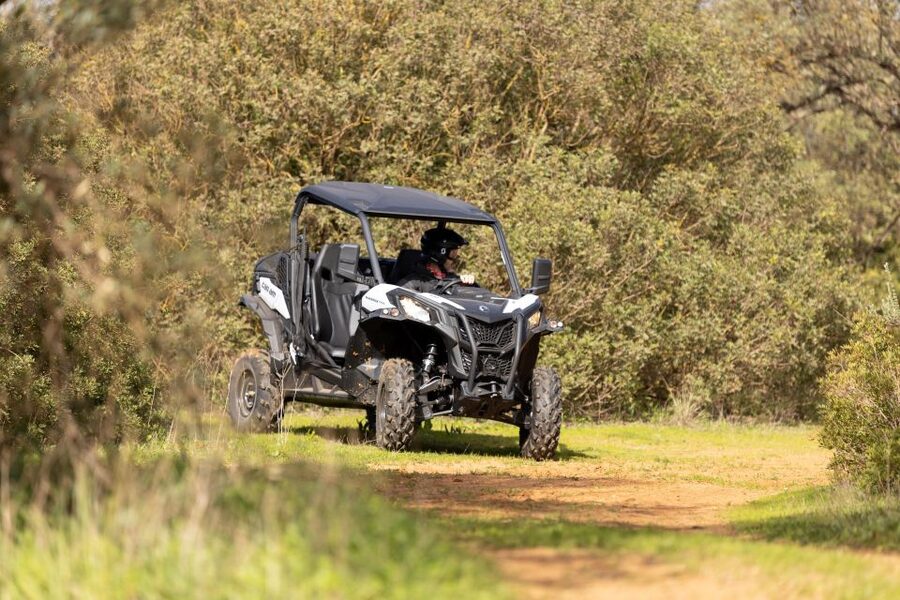 Porto Santo: 180 Minutes Off-Road Buggy Tour - Miradouro da Portela and the first wide views