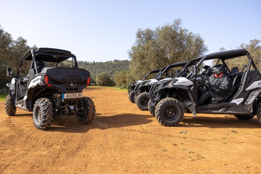 Porto Santo: 180 Minutes Off-Road Buggy Tour - Miradouro das Flores and the final sweep