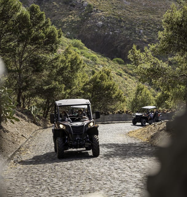 Porto Santo: 90 Minutes Off-Road Buggy Tour - Pico das Eiras and Pico Ana Ferreira